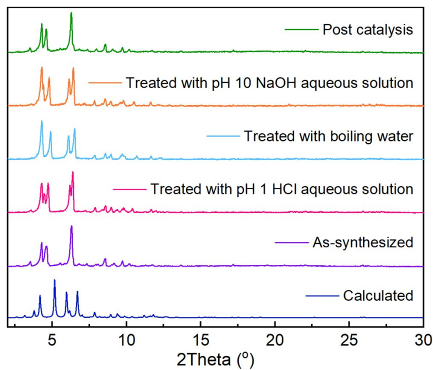 1770601798438 图片6